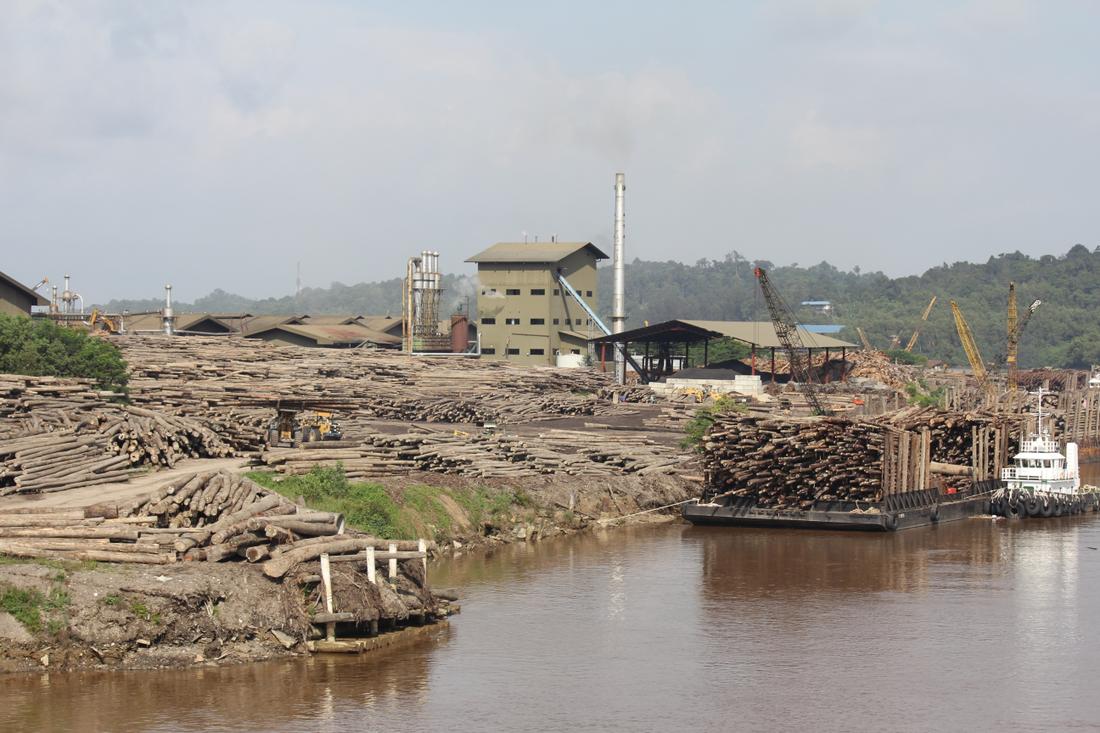 A plywood mill in Bintulu, Sarawak, owned by Shin Yang