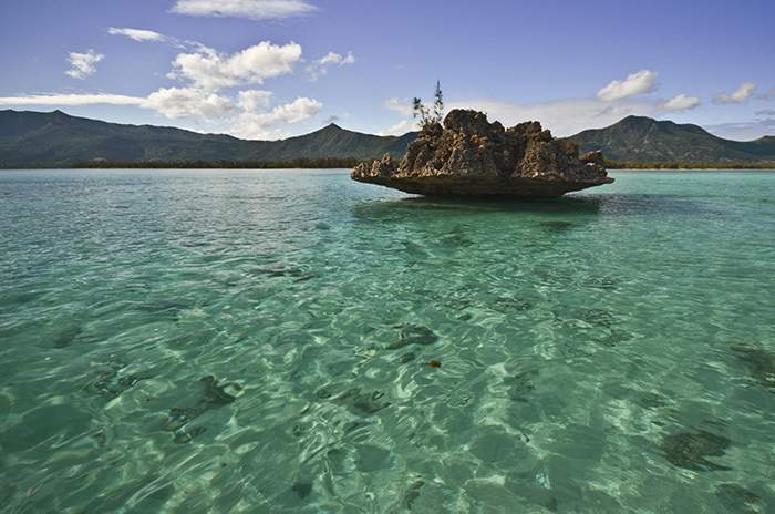Solanki set up VIP Healthcare in Mauritius. Edmonds and Groves had a secret stake. © KAM