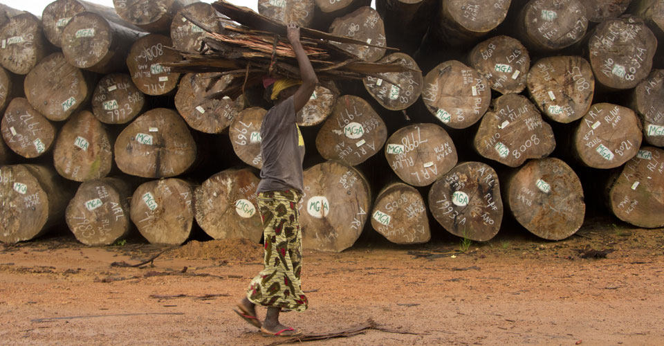 Lady carrying timber